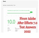 adobe after effects 7.0 test fiverr answers 2022